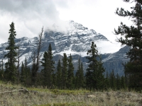 Yes, it snows in August